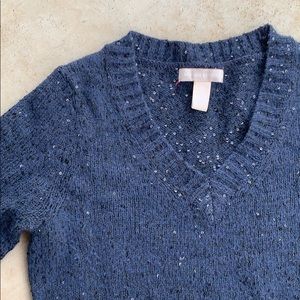 Banana Republic sequin sweater
